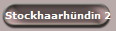 Stockhaarhndin 2