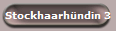 Stockhaarhndin 3